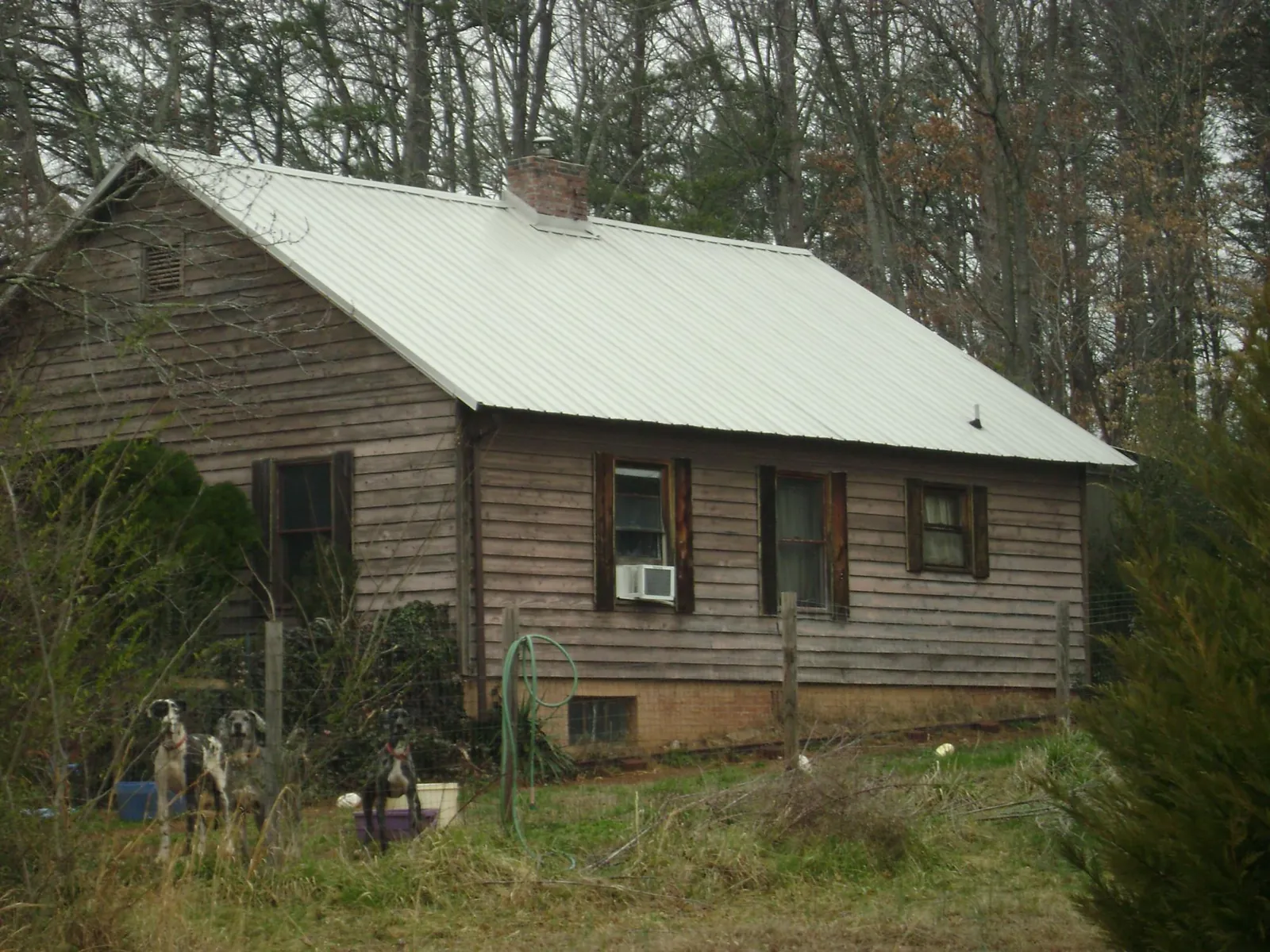 White metal roof on an old wood sided farmhouse, from a Asphalt Shingle Roof Repair job in Craigmont